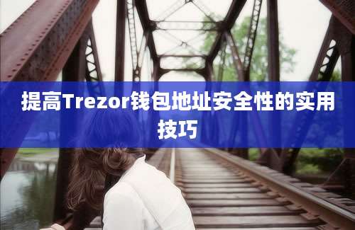 提高Trezor钱包地址安全性的实用技巧