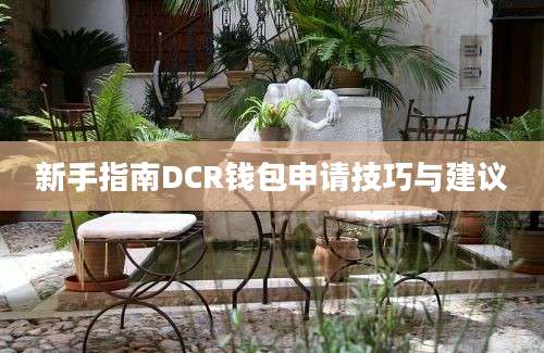 新手指南DCR钱包申请技巧与建议