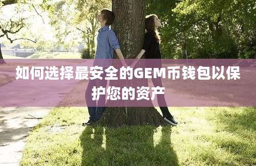 如何选择最安全的GEM币钱包以保护您的资产