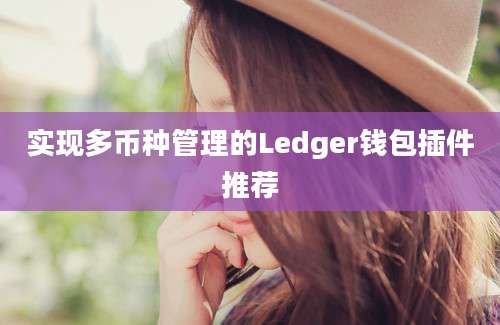 实现多币种管理的Ledger钱包插件推荐