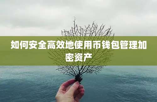 如何安全高效地使用币钱包管理加密资产