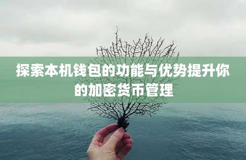 探索本机钱包的功能与优势提升你的加密货币管理