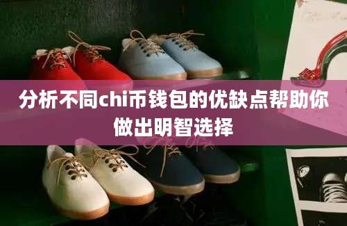 分析不同chi币钱包的优缺点帮助你做出明智选择