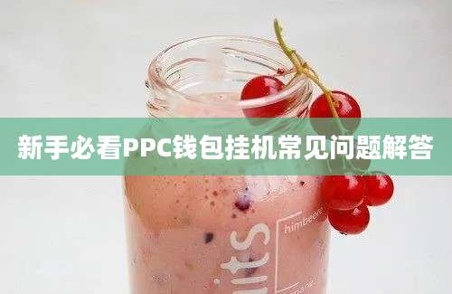 新手必看PPC钱包挂机常见问题解答