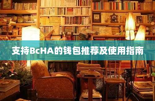 支持BcHA的钱包推荐及使用指南