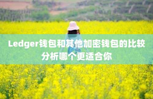 Ledger钱包和其他加密钱包的比较分析哪个更适合你