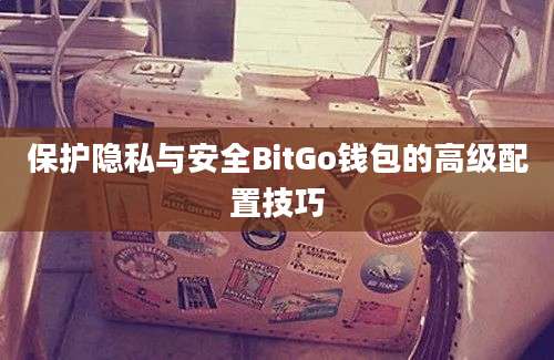 保护隐私与安全BitGo钱包的高级配置技巧