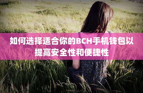 如何选择适合你的BCH手机钱包以提高安全性和便捷性