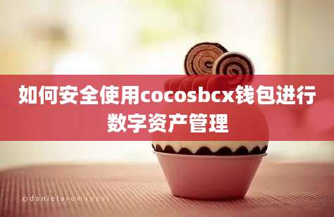 如何安全使用cocosbcx钱包进行数字资产管理