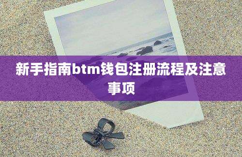 新手指南btm钱包注册流程及注意事项