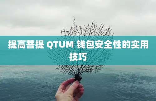 提高菩提 QTUM 钱包安全性的实用技巧