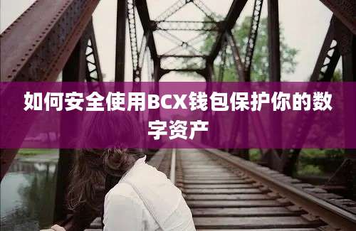 如何安全使用BCX钱包保护你的数字资产