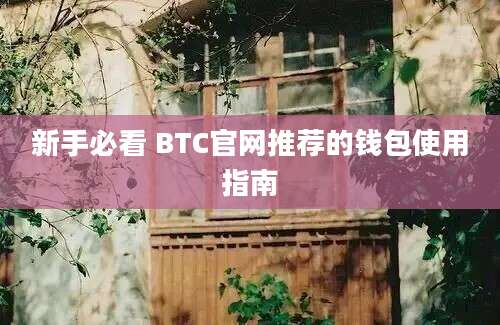 新手必看 BTC官网推荐的钱包使用指南