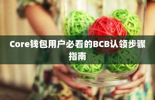 Core钱包用户必看的BCB认领步骤指南