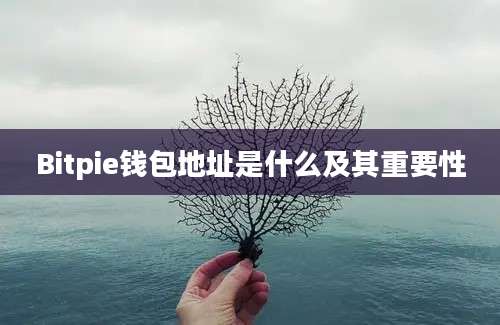 Bitpie钱包地址是什么及其重要性