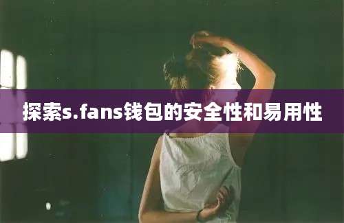 探索s.fans钱包的安全性和易用性