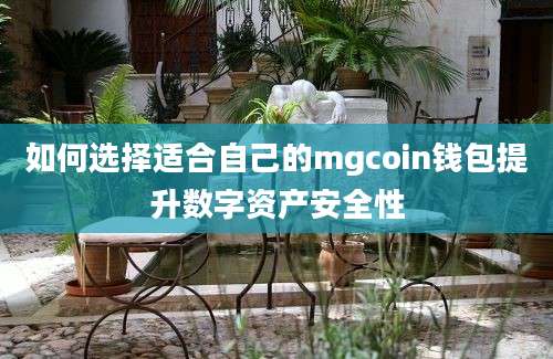 如何选择适合自己的mgcoin钱包提升数字资产安全性