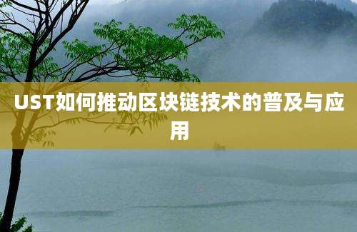 UST如何推动区块链技术的普及与应用