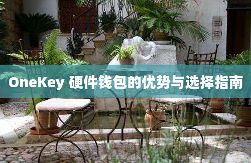 OneKey 硬件钱包的优势与选择指南