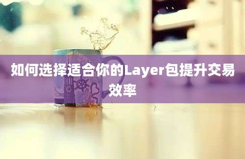 如何选择适合你的Layer包提升交易效率