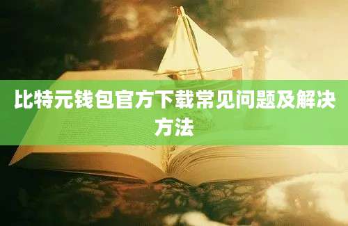 比特元钱包官方下载常见问题及解决方法