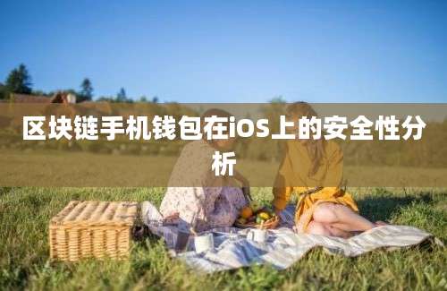 区块链手机钱包在iOS上的安全性分析