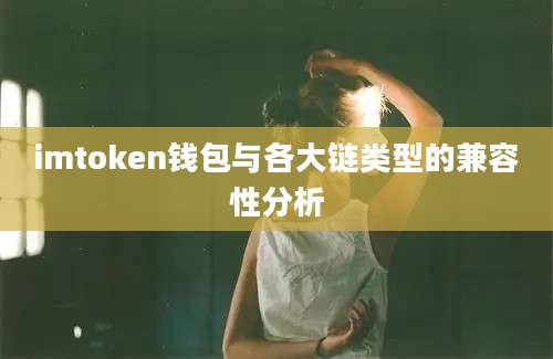 imtoken钱包与各大链类型的兼容性分析