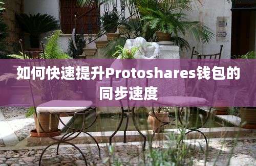 如何快速提升Protoshares钱包的同步速度