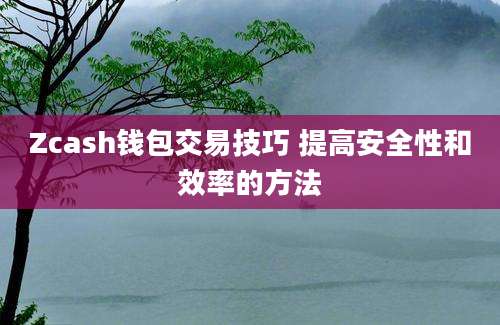 Zcash钱包交易技巧 提高安全性和效率的方法