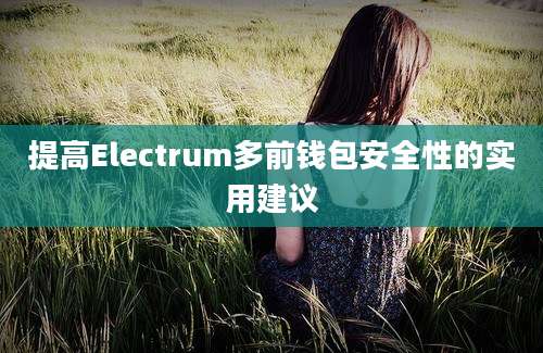 提高Electrum多前钱包安全性的实用建议