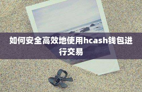 如何安全高效地使用hcash钱包进行交易