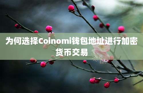 为何选择Coinomi钱包地址进行加密货币交易