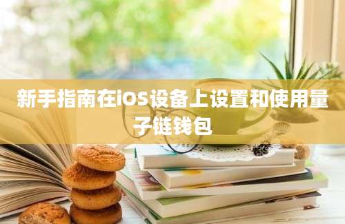 新手指南在iOS设备上设置和使用量子链钱包