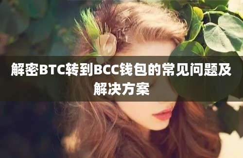 解密BTC转到BCC钱包的常见问题及解决方案