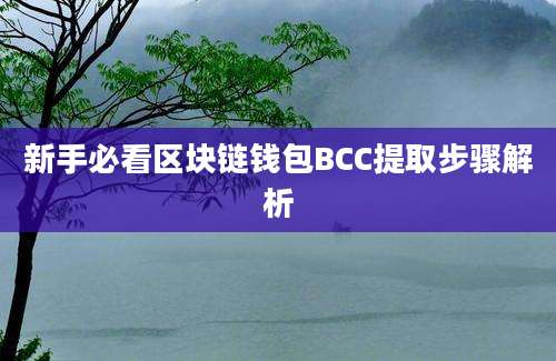 新手必看区块链钱包BCC提取步骤解析