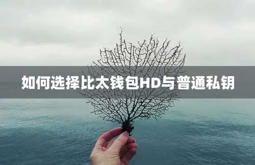 如何选择比太钱包HD与普通私钥