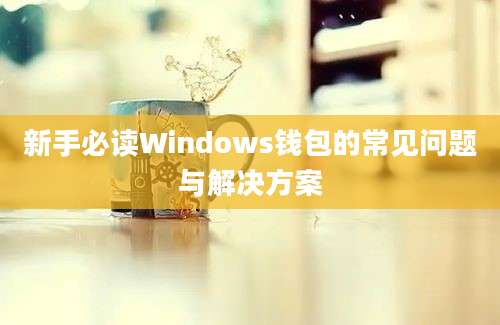 新手必读Windows钱包的常见问题与解决方案