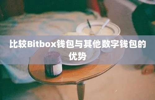 比较Bitbox钱包与其他数字钱包的优势