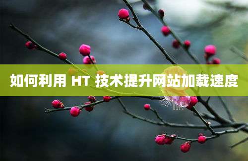 如何利用 HT 技术提升网站加载速度