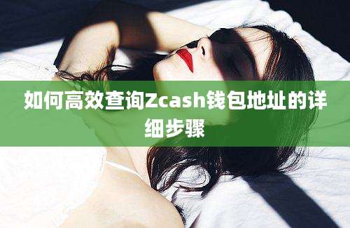 如何高效查询Zcash钱包地址的详细步骤