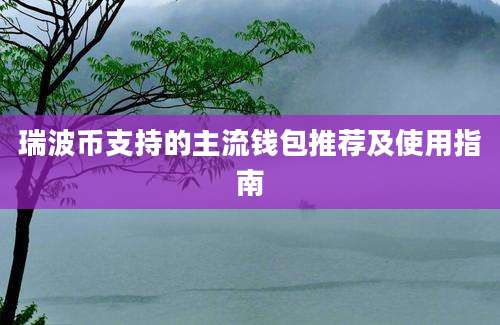 瑞波币支持的主流钱包推荐及使用指南