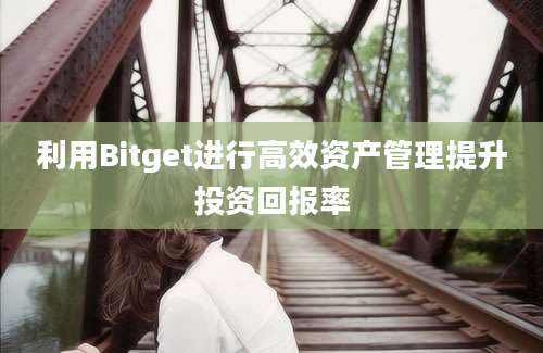 利用Bitget进行高效资产管理提升投资回报率