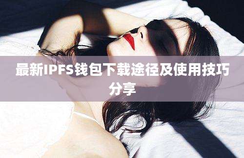 最新IPFS钱包下载途径及使用技巧分享