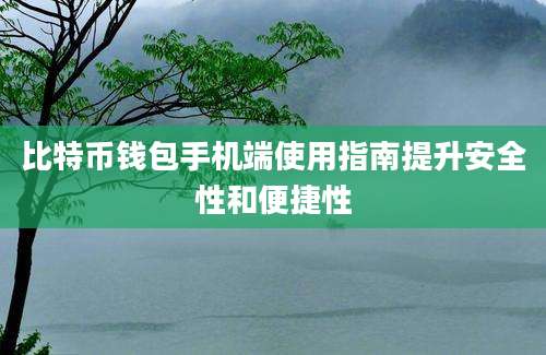 比特币钱包手机端使用指南提升安全性和便捷性