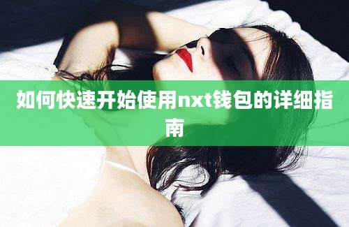 如何快速开始使用nxt钱包的详细指南