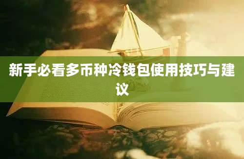 新手必看多币种冷钱包使用技巧与建议