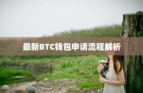 最新BTC钱包申请流程解析