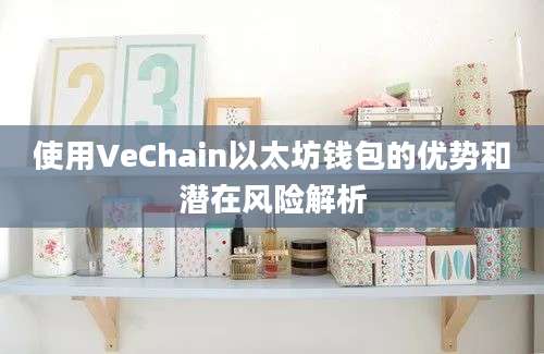 使用VeChain以太坊钱包的优势和潜在风险解析