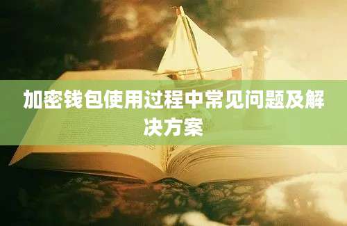 加密钱包使用过程中常见问题及解决方案