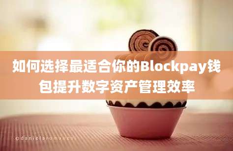 如何选择最适合你的Blockpay钱包提升数字资产管理效率